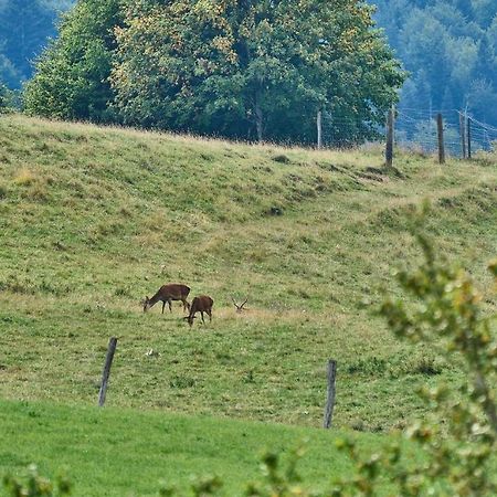 Hof Hauserbichl Fischbachau Bagian luar foto