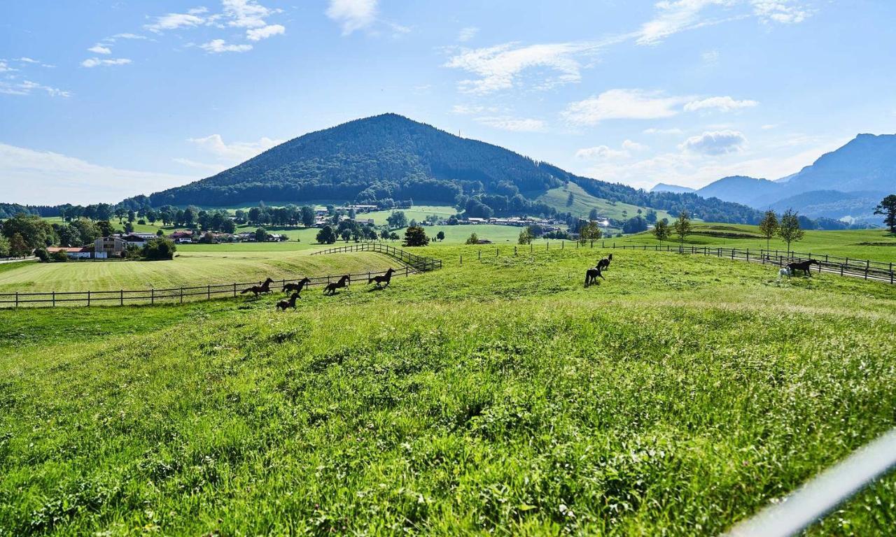 Hof Hauserbichl Fischbachau Bagian luar foto