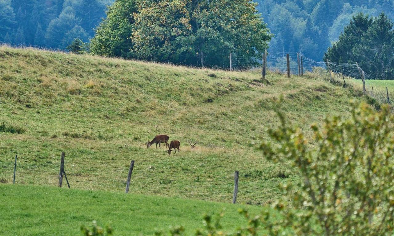 Hof Hauserbichl Fischbachau Bagian luar foto
